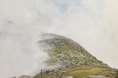 Along the Parish Fence