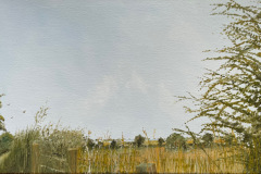 Cumberland Lonning