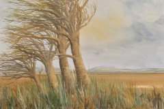 1_Estuary-near-Caerlaverock